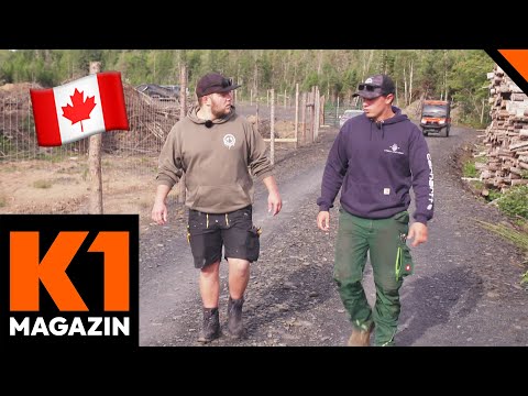 Goodbye Niedersachen, hallo Halifax! Nach Kanada ausgewandert! | K1 Magazin