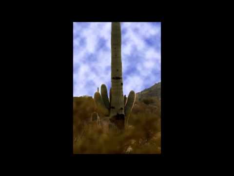 Armin van Buuren & Rank 1 ft. Kush vs Mojado - This kaktus is watching me (Alex Johnson Mashup)
