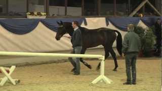 Video of Dibadu L