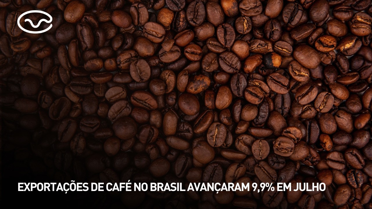 Exportações de café no Brasil avançaram 9,9% em julho