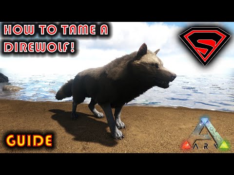 ARK HOW TO TAME A DIREWOLF 2002 - EVERYTHING YOU NEED TO KNOW ABOUT TAMING A DIREWOLF