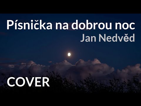 Jan Nedvěd ''Písnička na dobrou noc'' COVER