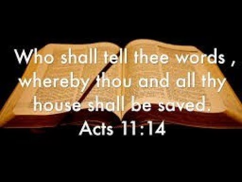 The words that saved Cornelius and his household.( Acts 11:14 ) Word Of The Week