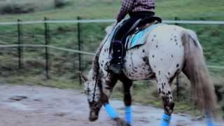 and that&#39;s where I&#39;ll stay