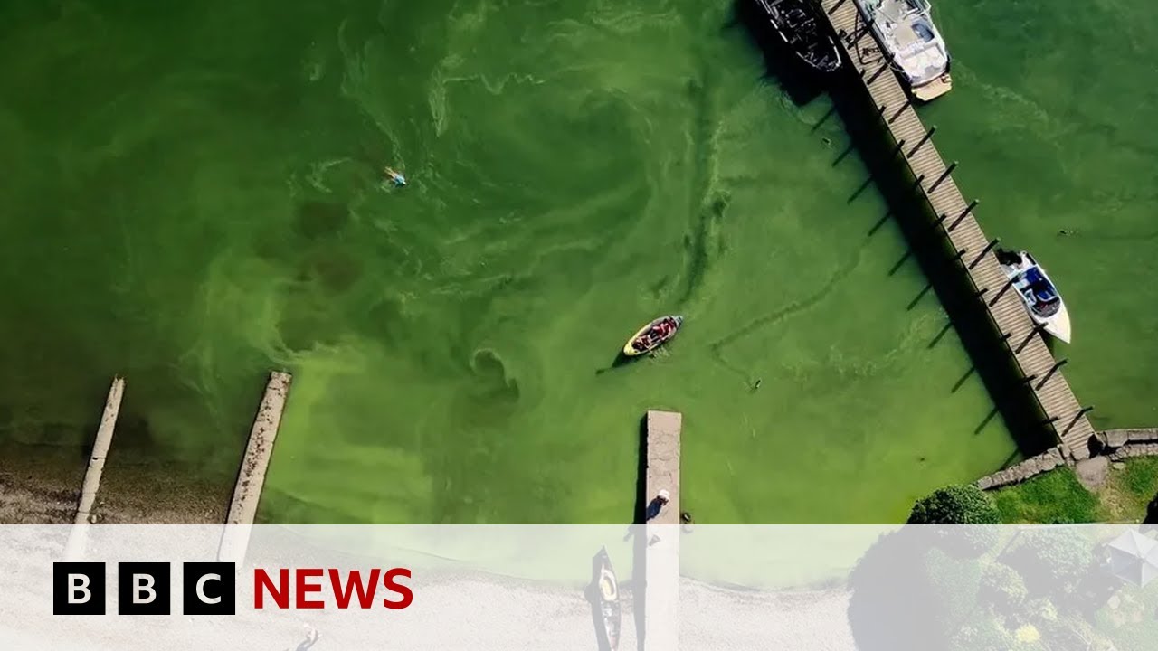 youtube video id=909I1vd2xqo