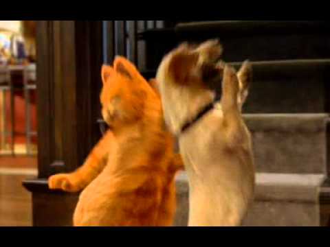 kinito mendez - garfield - el baile del sua sua sua.mpg