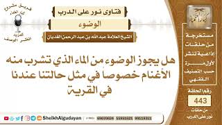 هل يجوز الوضوء من الماء الذي تشرب منه الأغنام؟الشيخ عبدالله الغديان image