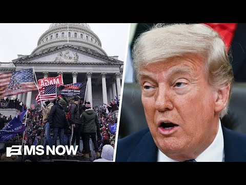 'You can't back the blue if you back President Trump': Fmr. GOP Rep.