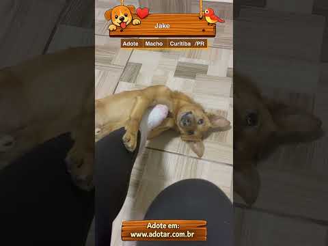 Vídeo de Jake