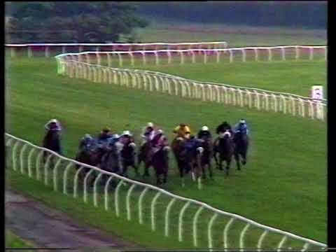 1990 Wynyard Classic Northumberland Sprint Trophy Handicap