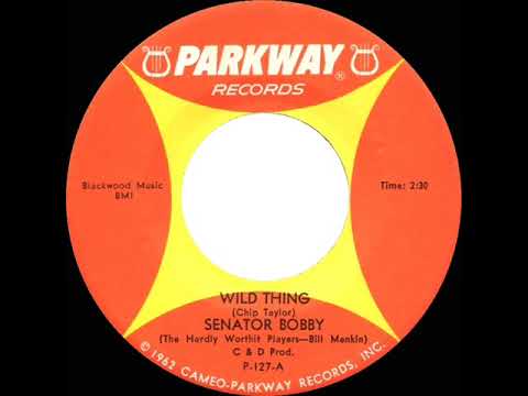 1967 HITS ARCHIVE: Wild Thing - Senator Bobby (Bill Minkin) (mono 45)
