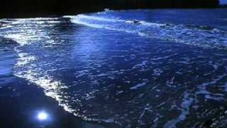 Francesco De Gregori Compagni di Viaggio