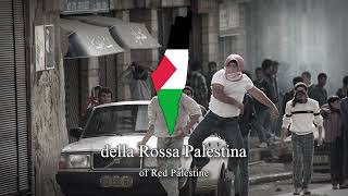 Kadr z teledysku Rossa Palestina tekst piosenki Edizioni Movimento Studentesco