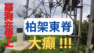 【高階行山】大癲 ! 柏架東脊竟然有惡狗｜無人話易行｜手腳並用係必須｜秘景｜詳細路況