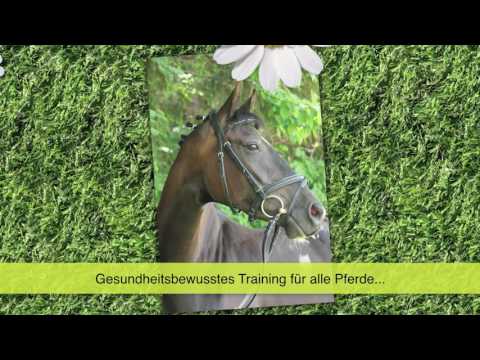 Pferdestall Johannes - Pferdezucht & Pension