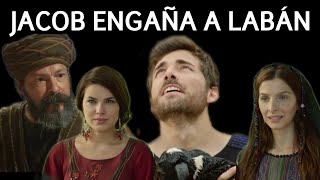 JACOB ENGAÑA A LABÁN