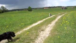 Wir helfen Bill, oder die Angst vor ein Gewitter