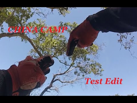 China Camp Test Edit