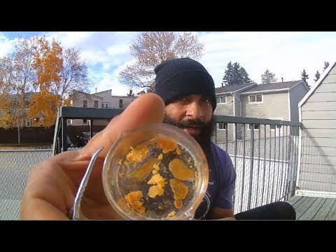 Yocan Evolve plus XL review