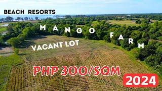 LFS 110 | Secluded 4 Hectares Mango Farm Land for Sale in the Philippines 2024