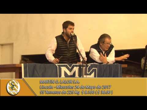 24-05-17 Ventas por Pantalla - Martin G. Lalor S.A. - Lincoln.