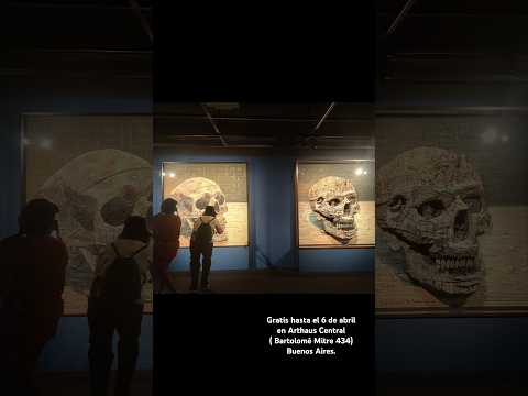 Mondongo: Romper las Reglas del Arte | Los Visuales | Encuentro
