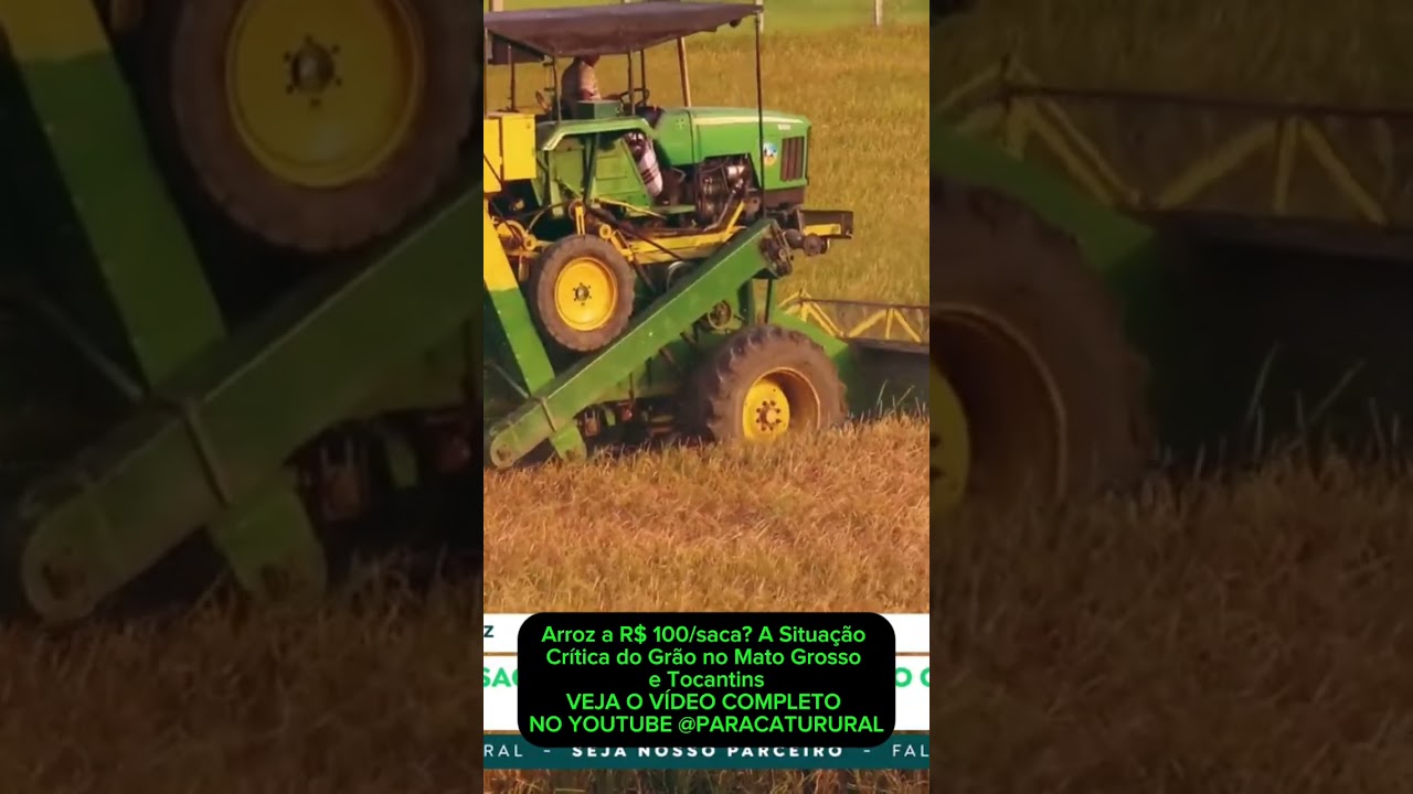 Arroz a R$ 100/saca? A Situação Crítica do Grão no Mato Grosso e Tocantins