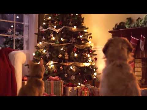 SKALDOWIE / KOLĘDOWO 2023... - "Kolędujmy wszyscy wraz".