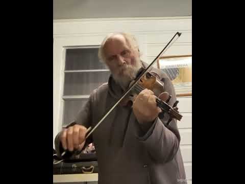I just found this new fiddle at an antique show..Which Do You Like Best?