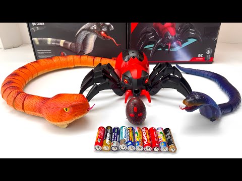 Unboxing Remote-Controlled Electric Python｜ Cobra,RC Electric Spray Spider,Unboxing RC Car Toy