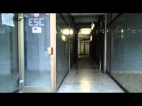 [Z]SERTAC Seni Seviyorum