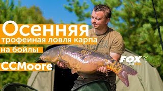 Ловля карпа на бойл в сентябре