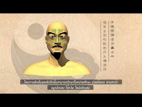 เพิ่มสมาชิกฉุด สำหรับการปรับปรุงของความอ่อนแอ