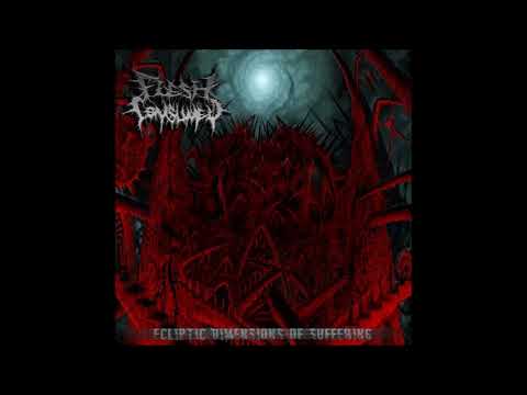 Flesh Consumed - Ecliptic Dimensions of Suffering (2010) Full Album