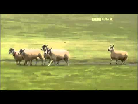 Adam Gallagher & Jimmy