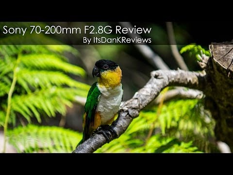 Video thumbnail for Video Review 1