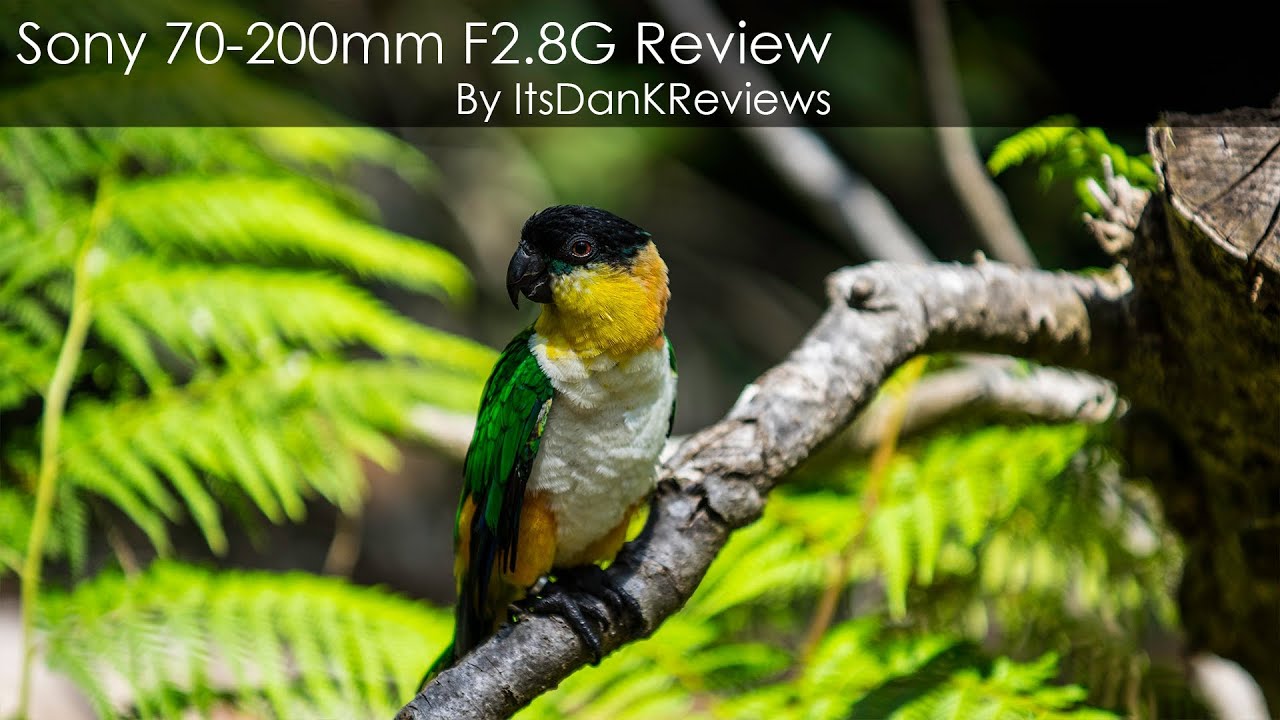 Video thumbnail for Video Review 1