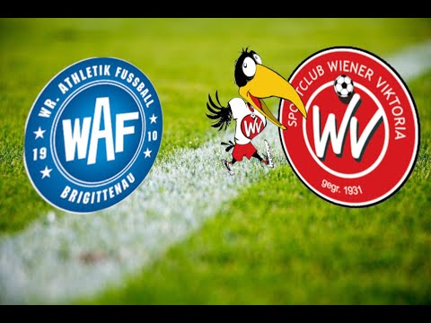 TESTSPIEL - WIEN | WAF Brigittenau - Wiener Viktoria