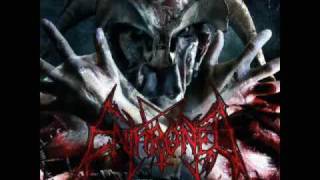 enthroned - "a.m.s.g."