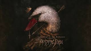 Path Of Desolation - Bring me victory (A Tribute To MY DYING BRIDE)