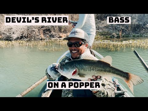 Devil's River Bass on a Popper