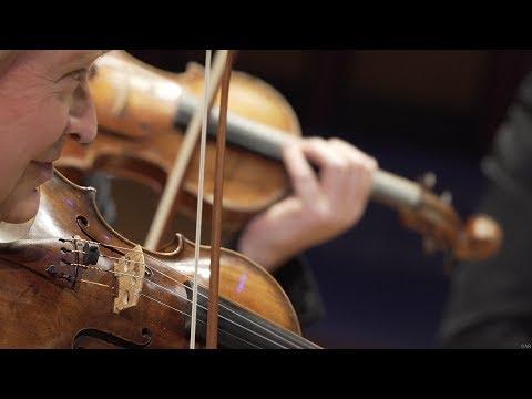 Schoenberg : Nocturne pour violon et cordes - J.P. Wallez, ORCW - LIVE 4K