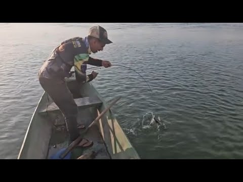Sempre ACONTECE isso no rio Xingú: PESCARIA  caipira.
