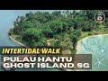 Hiking Pulau Hantu Intertidal Walk Ghost Island Of Singapore
