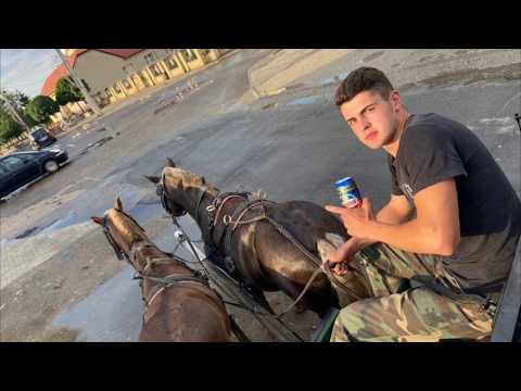 Losó Balázs 2020 - Mulatós mix Csécsi Norbertnek