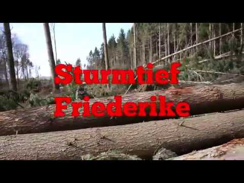 Folgen von Sturmtief Friederike