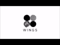 BTS LIE 3D Ver