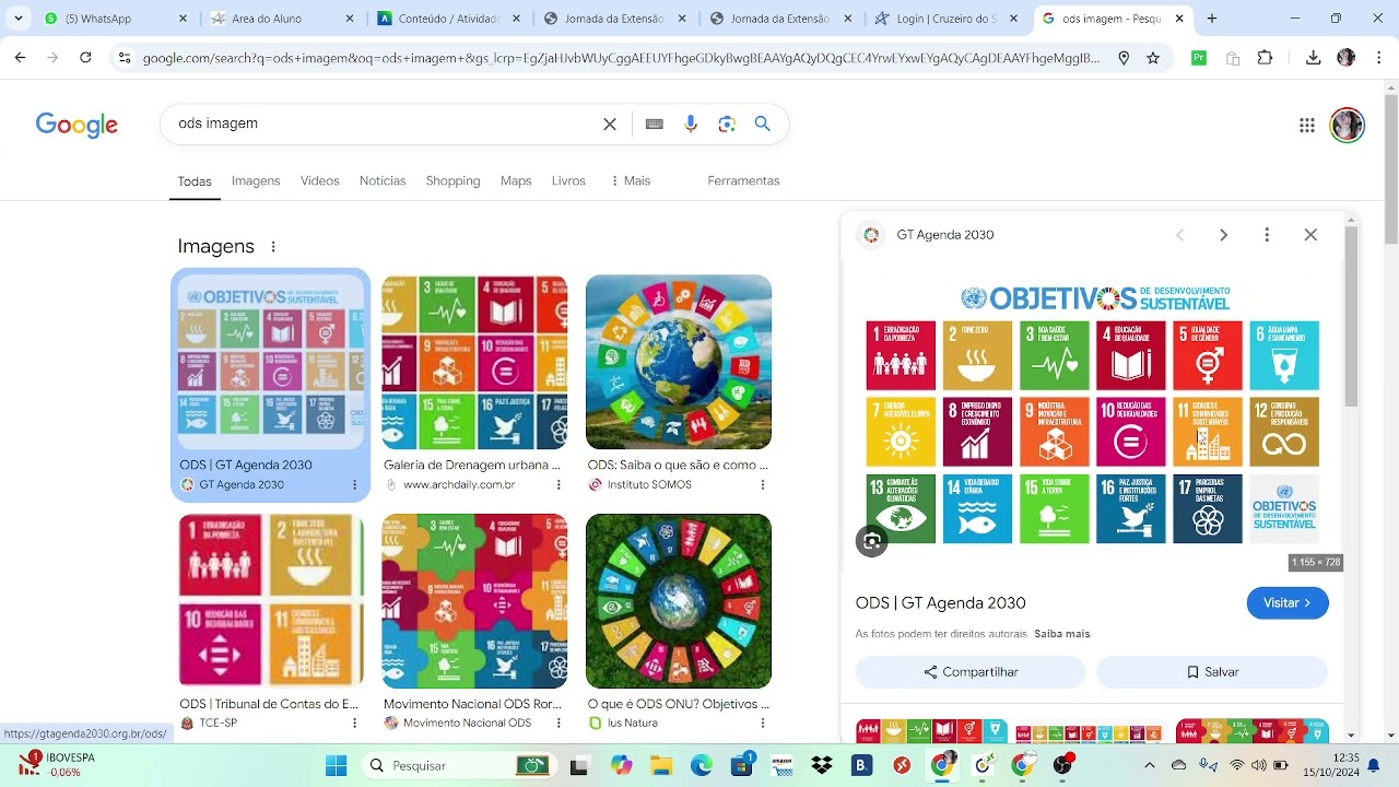 Atividade de Extensão: Integração de Competências Para Transformar o Eu, o Outro e a Sociedade