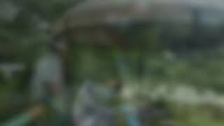 Download lagu LAGI VIRAL SMULE SAMBIL ML LAGU NGOBONG ATI 07052019 mp3 Download lagu LAGI VIRAL SMULE SAMBIL ML LAGU NGOBONG ATI 07052019 mp3