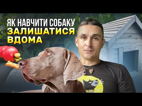 YouTube video preview